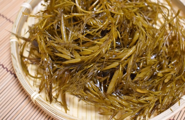 ざるにある沢山のアカモク